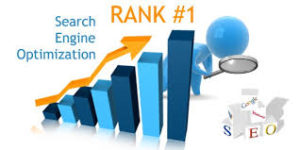 Local Web experts seo service